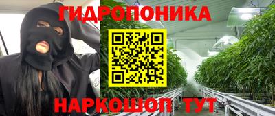 гашик Рыбинск